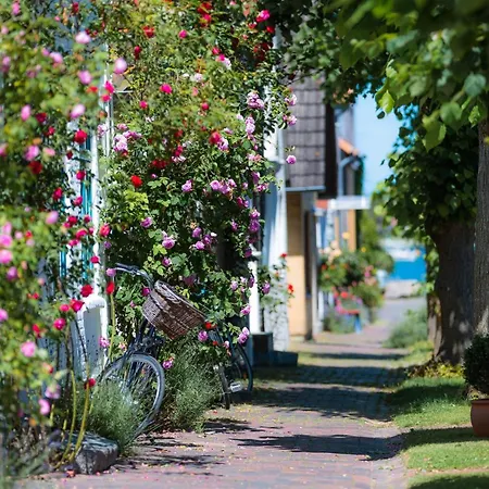 Beachwavethree- 2og, Barrierearm, Meerblick, Balkon, Kamin, Sauna Olpenæs